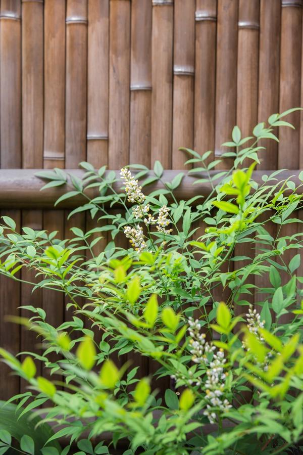 Kyoto Stay Temari Eksteriør bilde